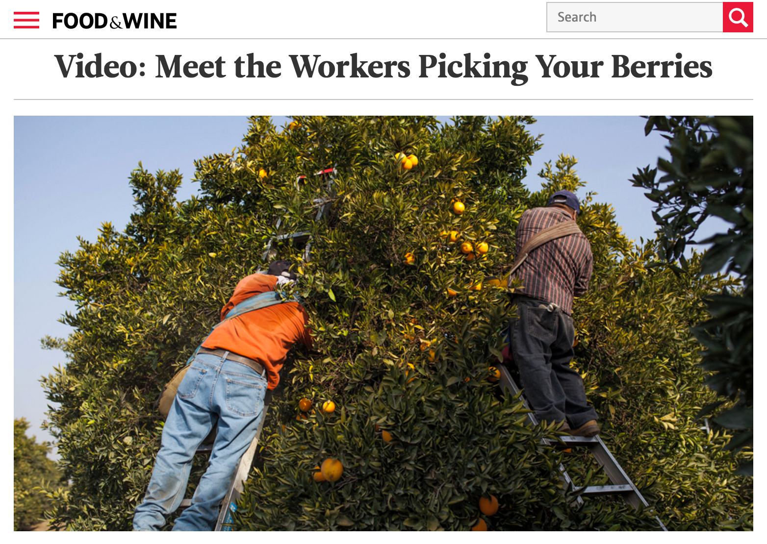Food & Wine: Meet the Workers Picking Your Berries